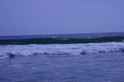 DSC_2197 (Large).JPG